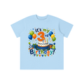 Boys 3rd Birthday T-shirt